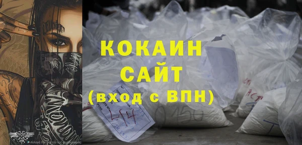 мдпв Богородицк