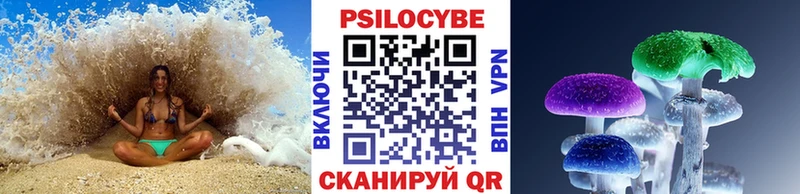магазин продажи   Хасавюрт  Галлюциногенные грибы прущие грибы 