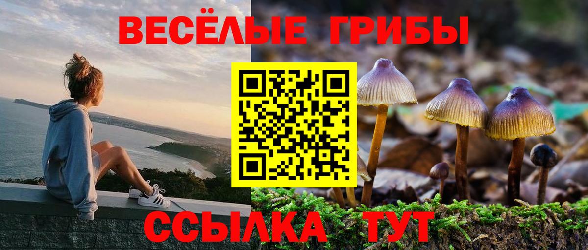 Галлюциногенные грибы мицелий Хасавюрт